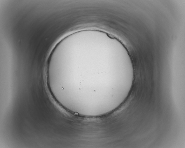 X0000111491526200908041132