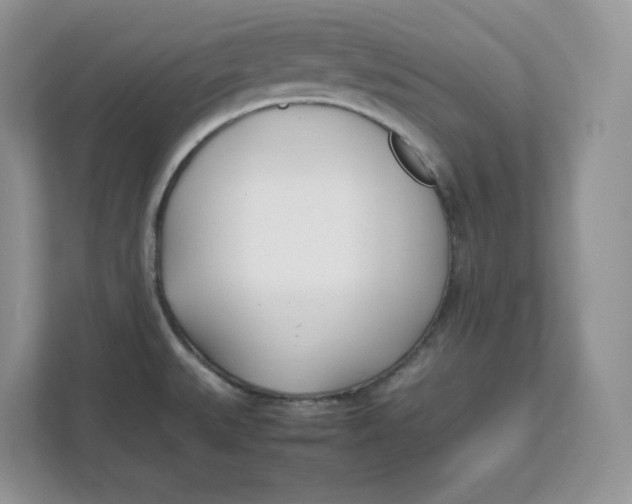 X0000111491527200908041132