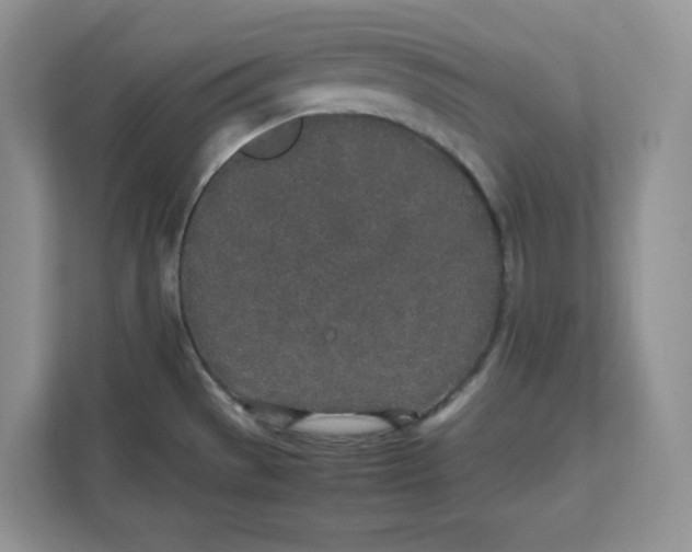 X0000111491529200908041132