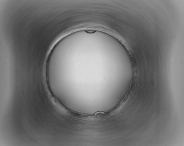 X0000111491530200908041132