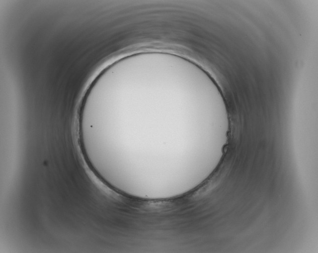 X0000111491531200908041132