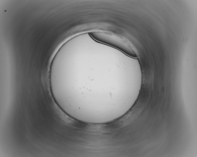 X0000111491532200908041132