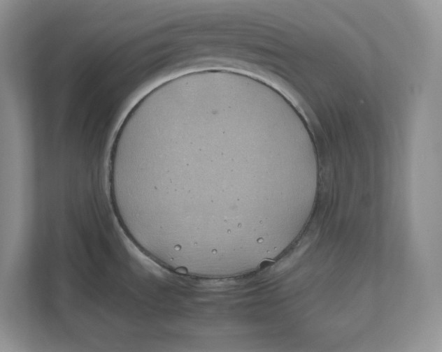 X0000111491535200908041132