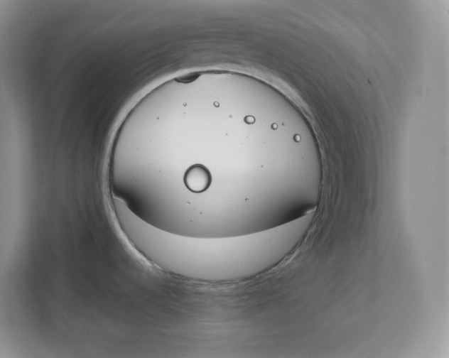 X0000111491536200908041132