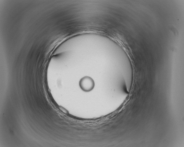 X0000111490001200908111234