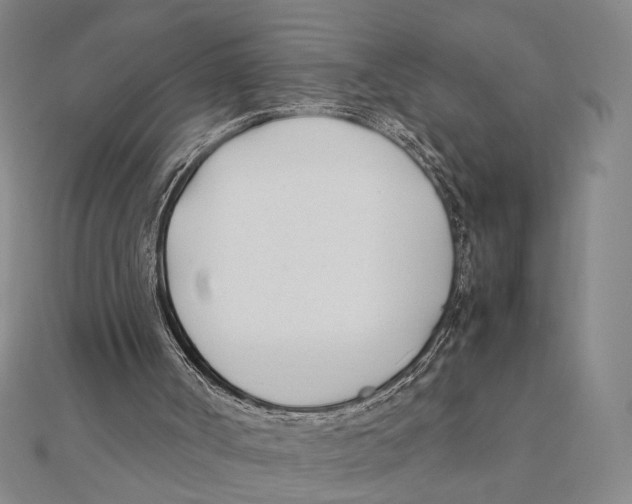 X0000111490002200908111234