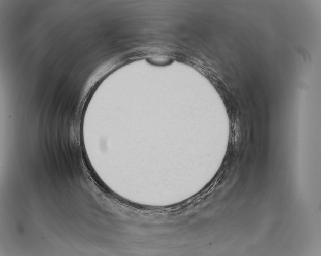 X0000111490004200908111234