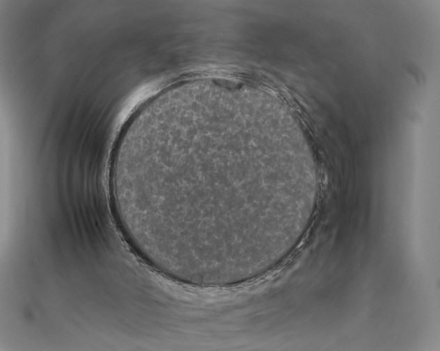 X0000111490006200908111234