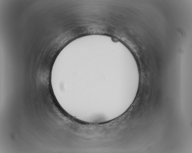 X0000111490009200908111234