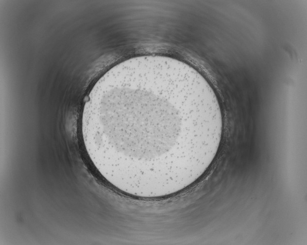 X0000111490010200908111234
