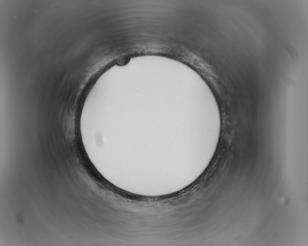 X0000111490012200908111234