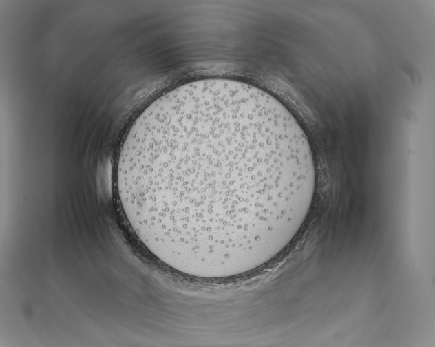 X0000111490014200908111234