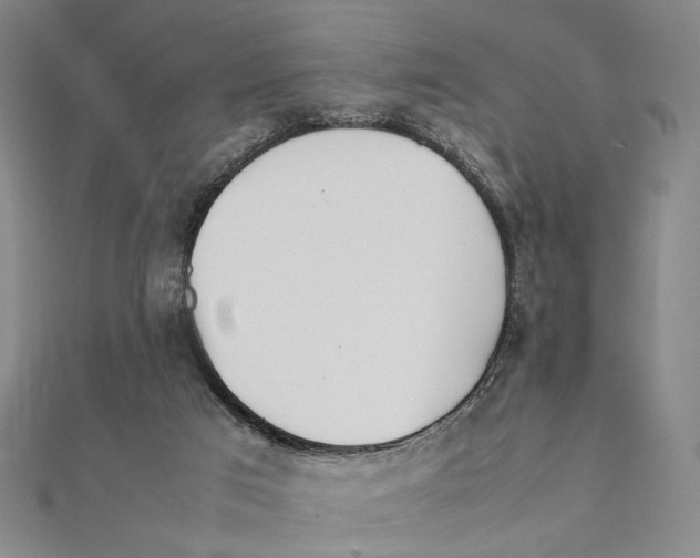 X0000111490017200908111234