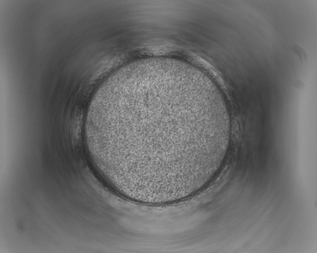 X0000111490018200908111234