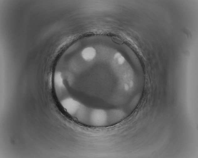 X0000111490019200908111234