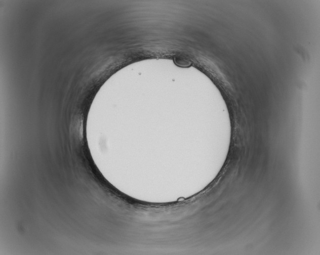 X0000111490021200908111234
