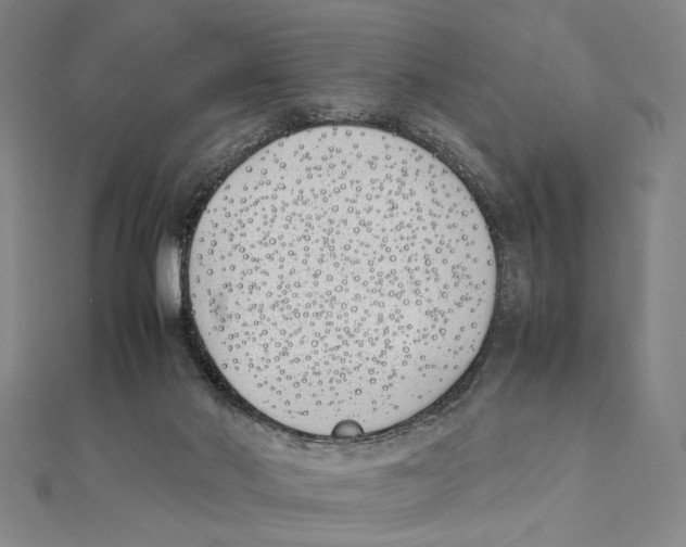 X0000111490022200908111234