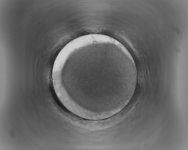 X0000111490023200908111234