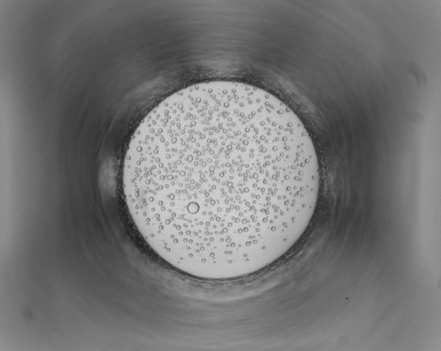 X0000111490026200908111234