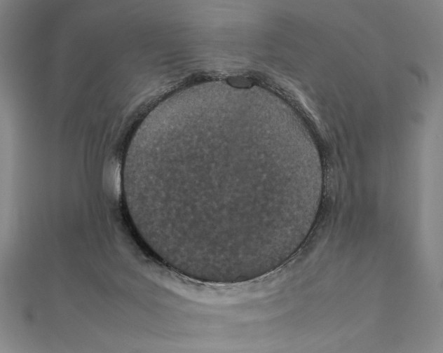 X0000111490027200908111234