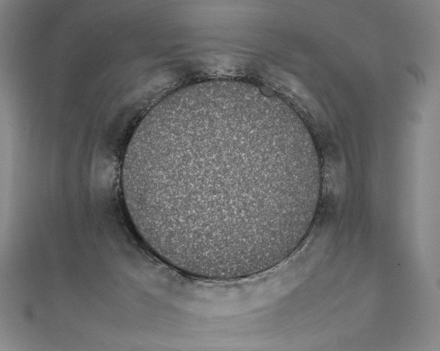 X0000111490029200908111234