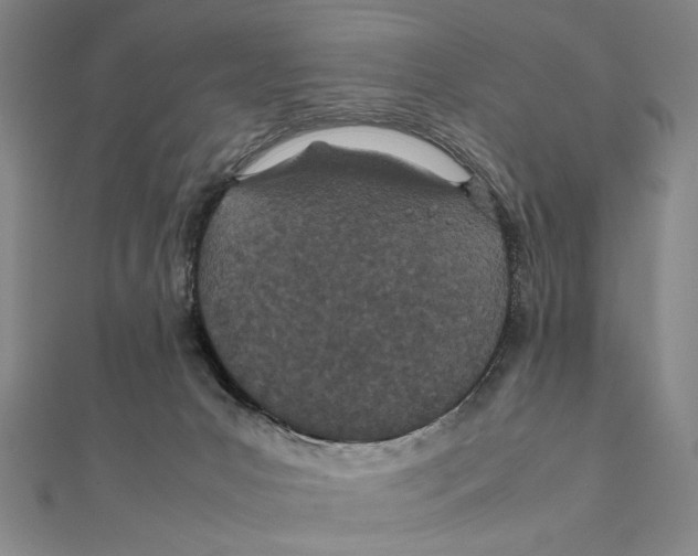 X0000111490031200908111234