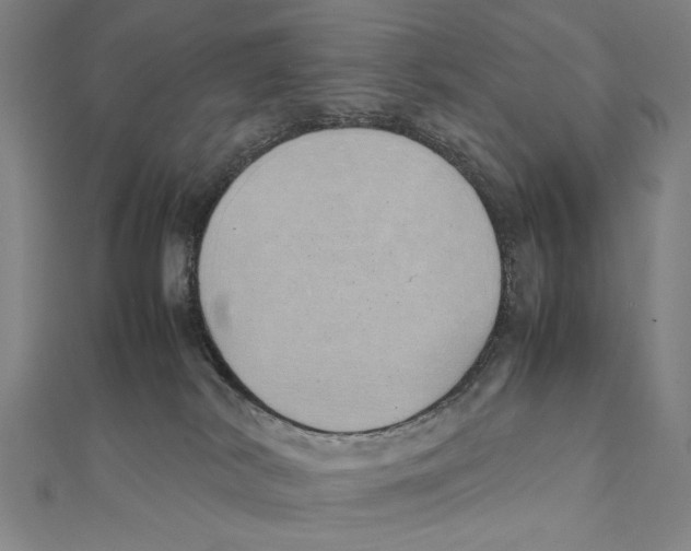 X0000111490038200908111234