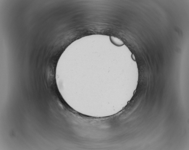 X0000111490040200908111234