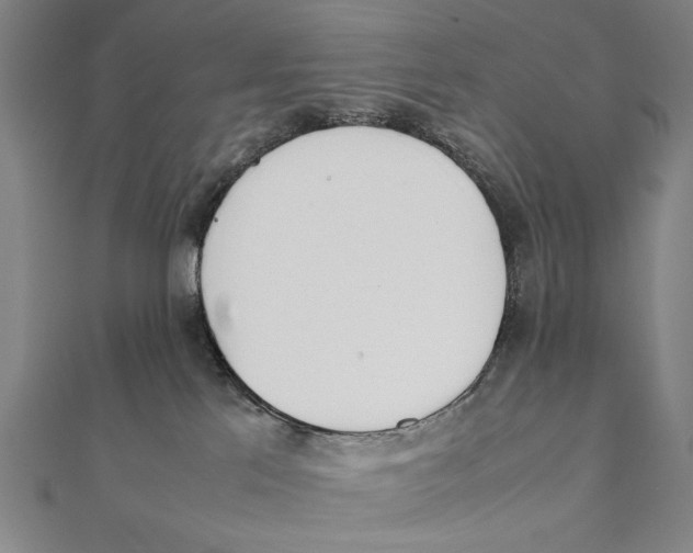 X0000111490041200908111234