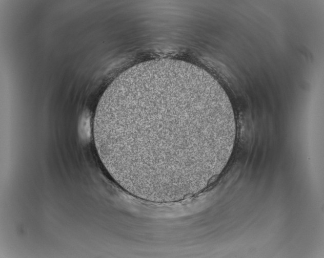 X0000111490042200908111234