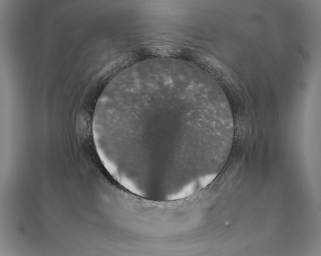 X0000111490043200908111234