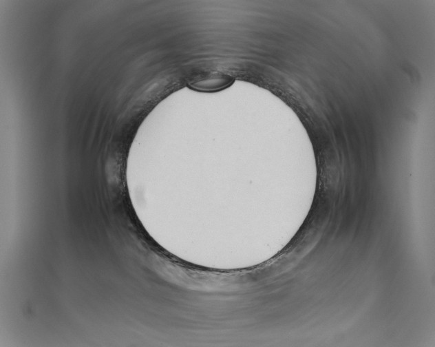 X0000111490044200908111234