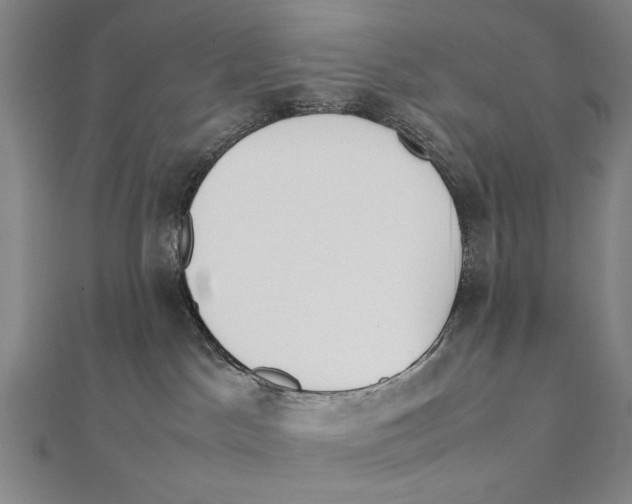 X0000111490045200908111234