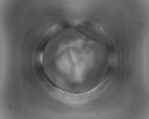 X0000111490047200908111234