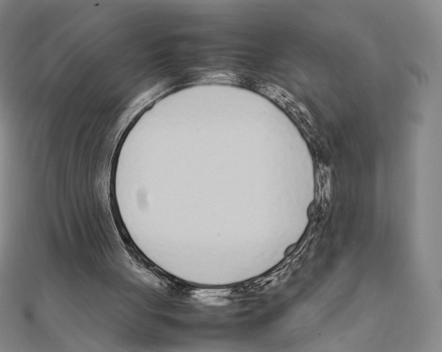 X0000111490051200908111233