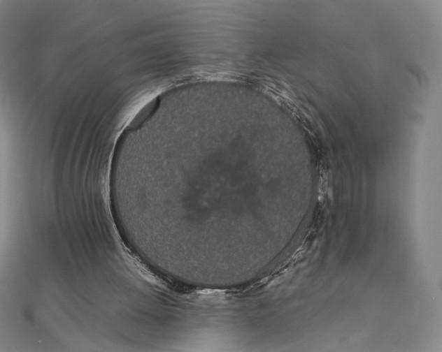 X0000111490052200908111233