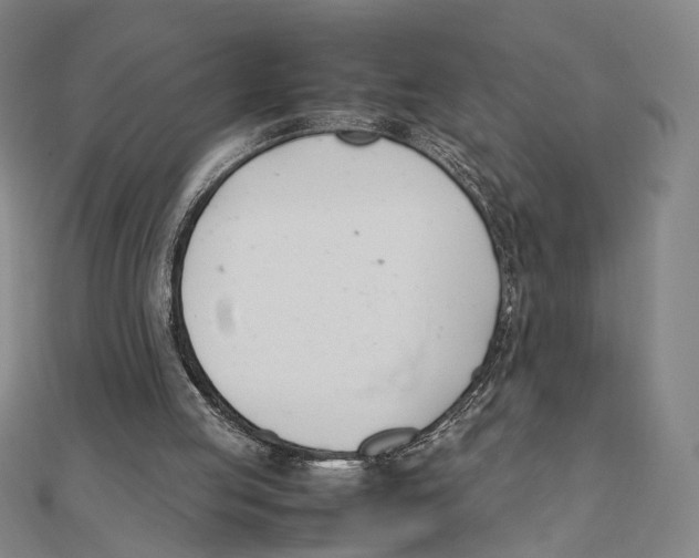 X0000111490053200908111233