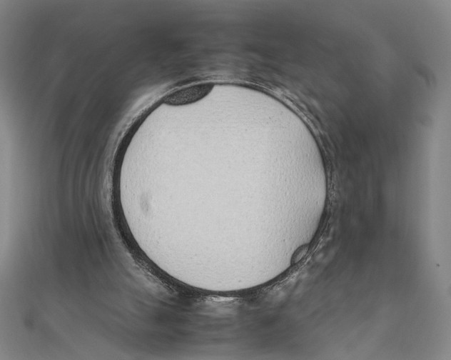 X0000111490055200908111233
