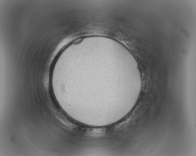 X0000111490056200908111233