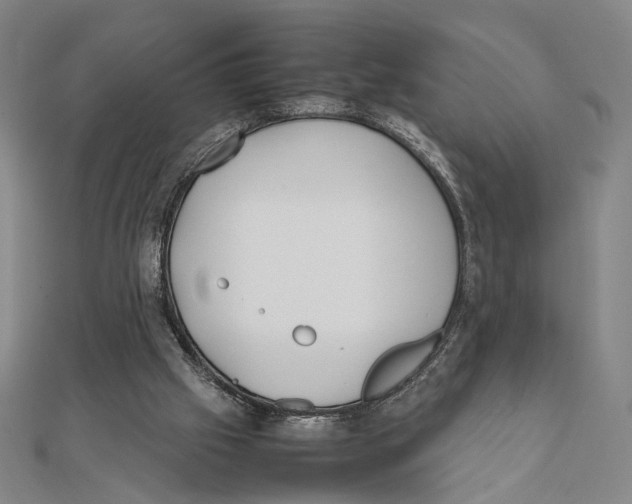 X0000111490057200908111233