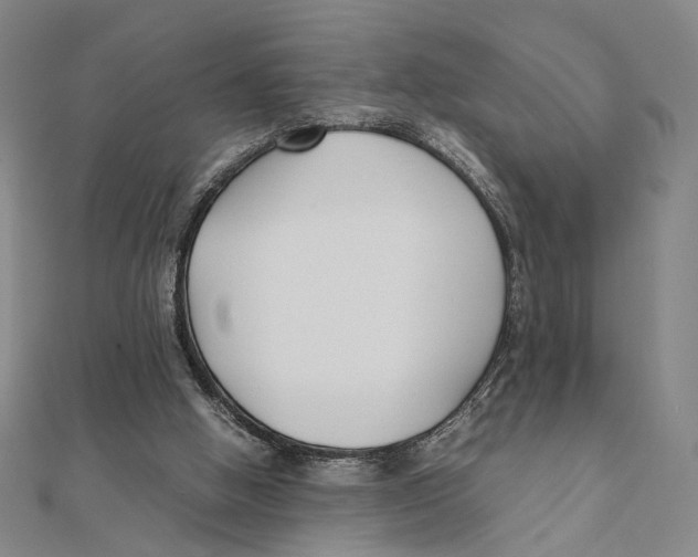 X0000111490058200908111233