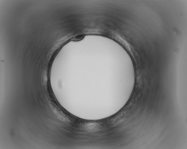 X0000111490059200908111233