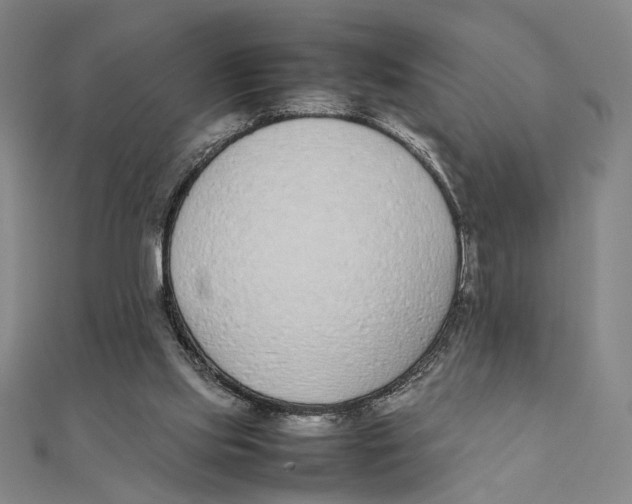 X0000111490061200908111233