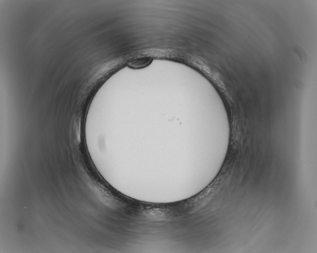 X0000111490062200908111233
