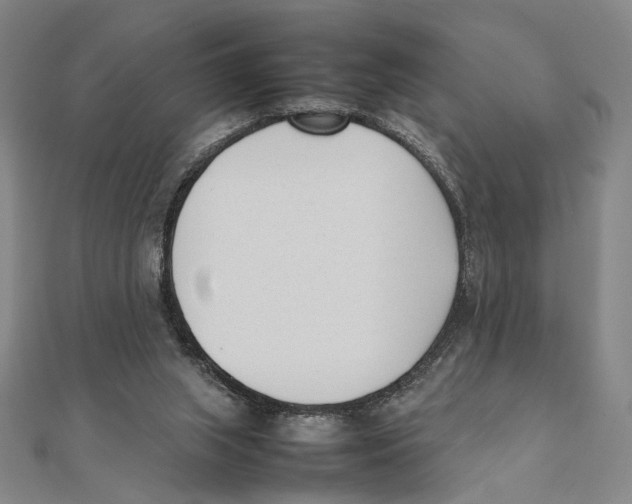 X0000111490063200908111233
