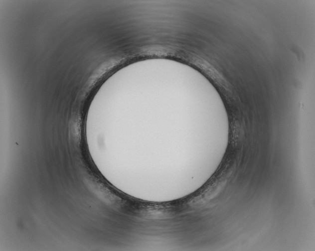 X0000111490064200908111233