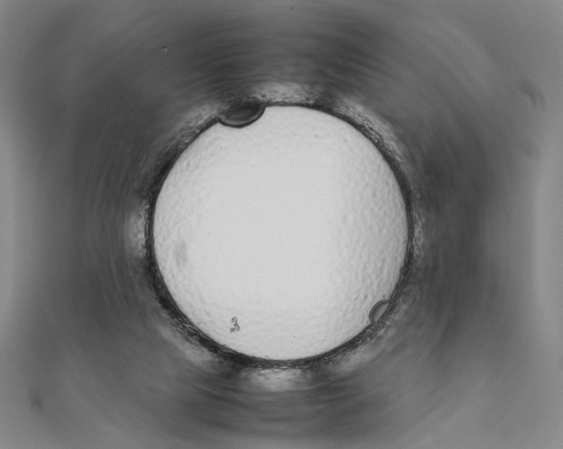 X0000111490065200908111233