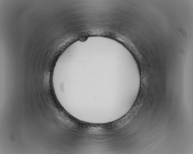 X0000111490066200908111233
