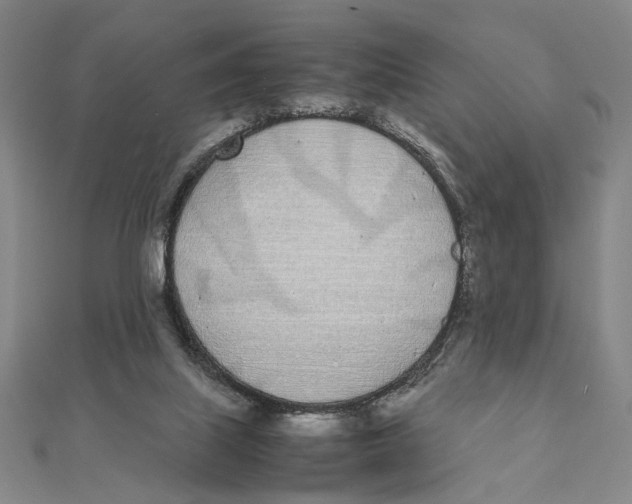 X0000111490067200908111233