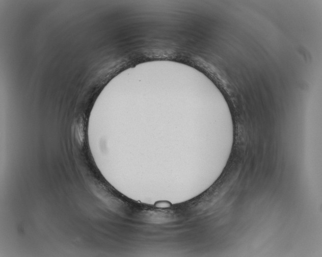 X0000111490069200908111233